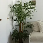 Timi's House - Espacoso A 350 M Da E Centro Da Velha Lägenhet *