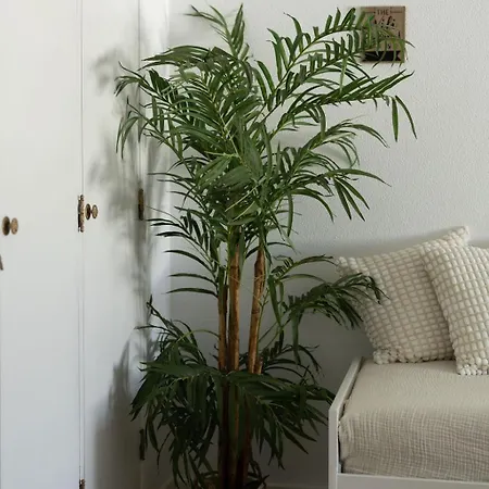 Timi's House - Espacoso A 350 M Da E Centro Da Velha Lejlighed *