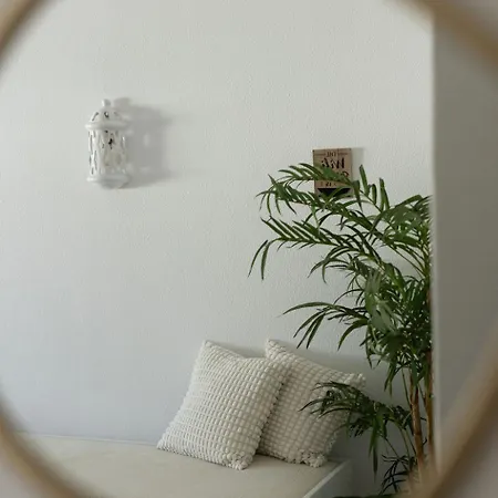 Daire Timi's House - Espacoso A 350 M Da E Centro Da Velha *